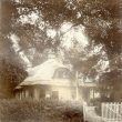 Sherbourne.  Thatched tea house