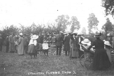 Ettington.  Flower show