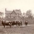 Shipston on Stour.  Ellen Badger Cottage Hospital