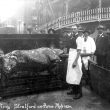 Stratford upon Avon.  Ox roast