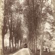 Stratford upon Avon.  Holy Trinity Church avenue to porch
