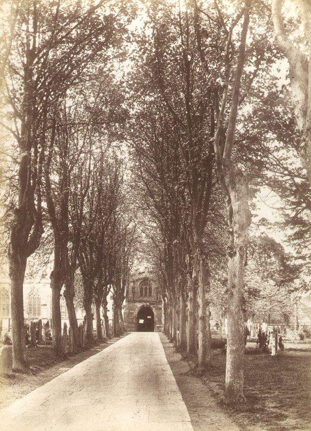 Holy Trinity church avenue leading to the north porch, Stratford upon Avon.  1900s |  IMAGE LOCATION: (Warwickshire County Record Office)
