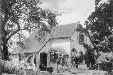 Cliffe Cottage Memories, Stratford