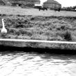 Warwick.  Grand Union canal
