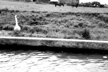 Warwick.  Grand Union canal