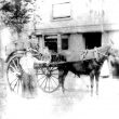 Warwick.  Family in horse drawn carriage