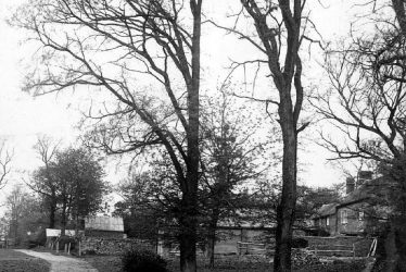 Flecknoe.  Village pond