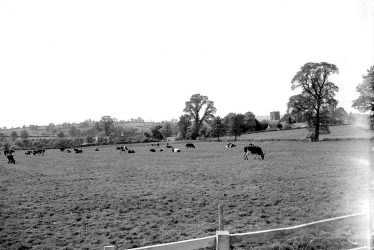 Barcheston.  View across meadows towards church