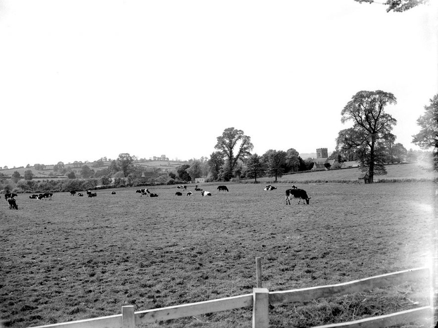 Barcheston.  View across meadows towards the church |  IMAGE LOCATION: (Warwickshire County Record Office)