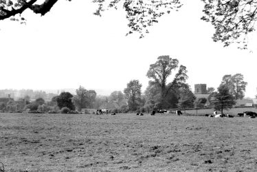 Barcheston.  View across meadows towards church