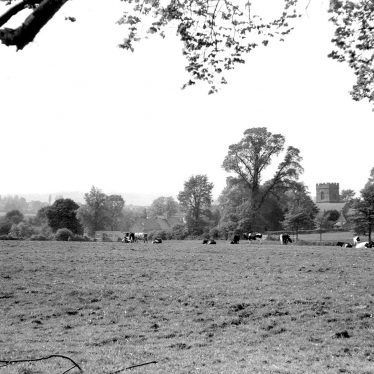 Barcheston.  View across meadows towards church