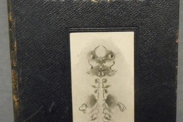 Ghosts of My Friends - a Warwickshire Family Keepsake
