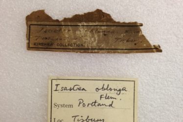 Warwickshire Natural History and Archaeological Society: Specimens and Labels