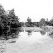 The Stews, Blyth Hall, Shustoke.