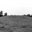 Medieval Mound 200m N of Alderhanger Wood