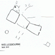 Cropmark, possible Iron Age/Romano-British enclosures, Wellesbourne