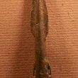 Findspot - Bronze Age spearhead southwest of Newbold Comyn Park.