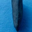 Findspot - Neolithic stone axe/adze