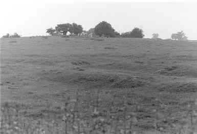 Norton Deserted Settlement, Budbrooke | Warwickshire County Council