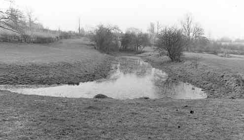 Fishpond at Butlers Marston | Warwickshire County Council