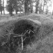 Ice House in Icehouse Spinney, Caldecote
