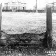 Stocks at Wroxall