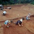 The Lunt Roman Fort: Period 1