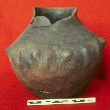 An Anglo Saxon cremation urn found during excavations of a cemetery site near Bagington | Warwickshire County Council