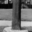 Cross in Coleshill Churchyard
