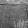 Undated cropmark enclosure
