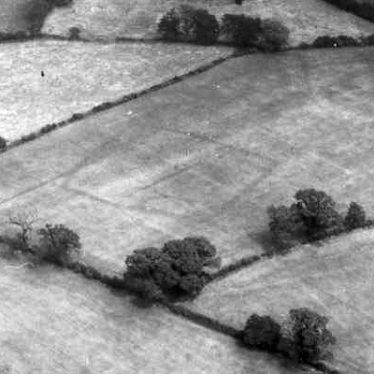 An enclosure visible as a cropmark to the east of Far Popehill Spinney | WA Baker