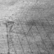 Undated cropmark enclosure