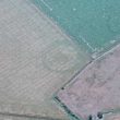 Neolithic or Bronze Age Ring Ditches/ Kings Newnham Site A