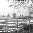 Ridge & Furrow cultivation Clifford Chambers Parish