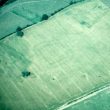Undated crop mark settlement, Barford