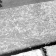 Possible Ring Ditch 600m NW of Salford Priors