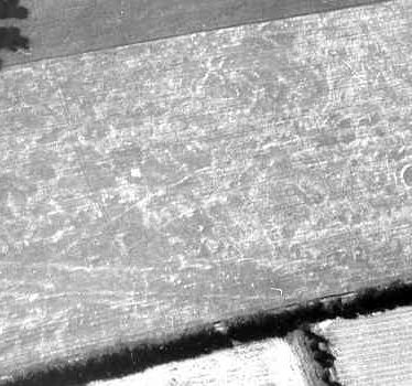 Linear cropmarks visible to the north west of Salford Priors | WA Baker