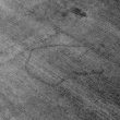 Undated cropmark enclosure