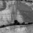 Crop Mark Enclosure 400m E of Beauchamp Court, Coughton.