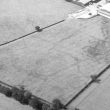 Undated enclosure and ring ditch