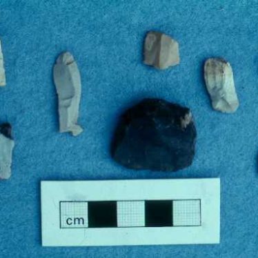 Mesolithic flakes from Corley | Warwickshire County Council