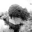 Moat at Whitacre Hall