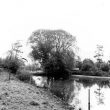 Fishponds at Whitacre Hall