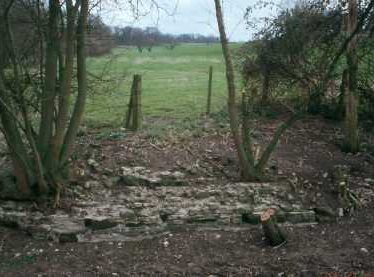 Moated Site 150m NW of Chesterton Church