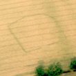 Romano-British Enclosure NW of Broadwell