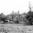 Fishpond at Hoare Hall Farm