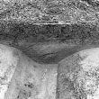Gullies, Ditch and Hollow, Wood Farm, Bubbenhall