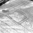 Crop Mark Enclosure 100m NE of Newhouse Farm