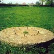World War II Gun Emplacement