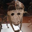 Triassic Amphibians in Warwickshire